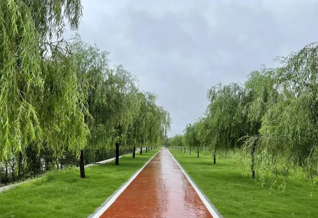 太阳成·(中国游)有限公司官网