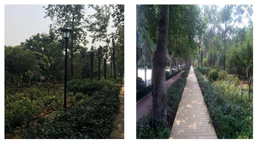 太阳成·(中国游)有限公司官网