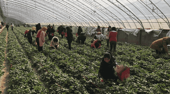 太阳成·(中国游)有限公司官网